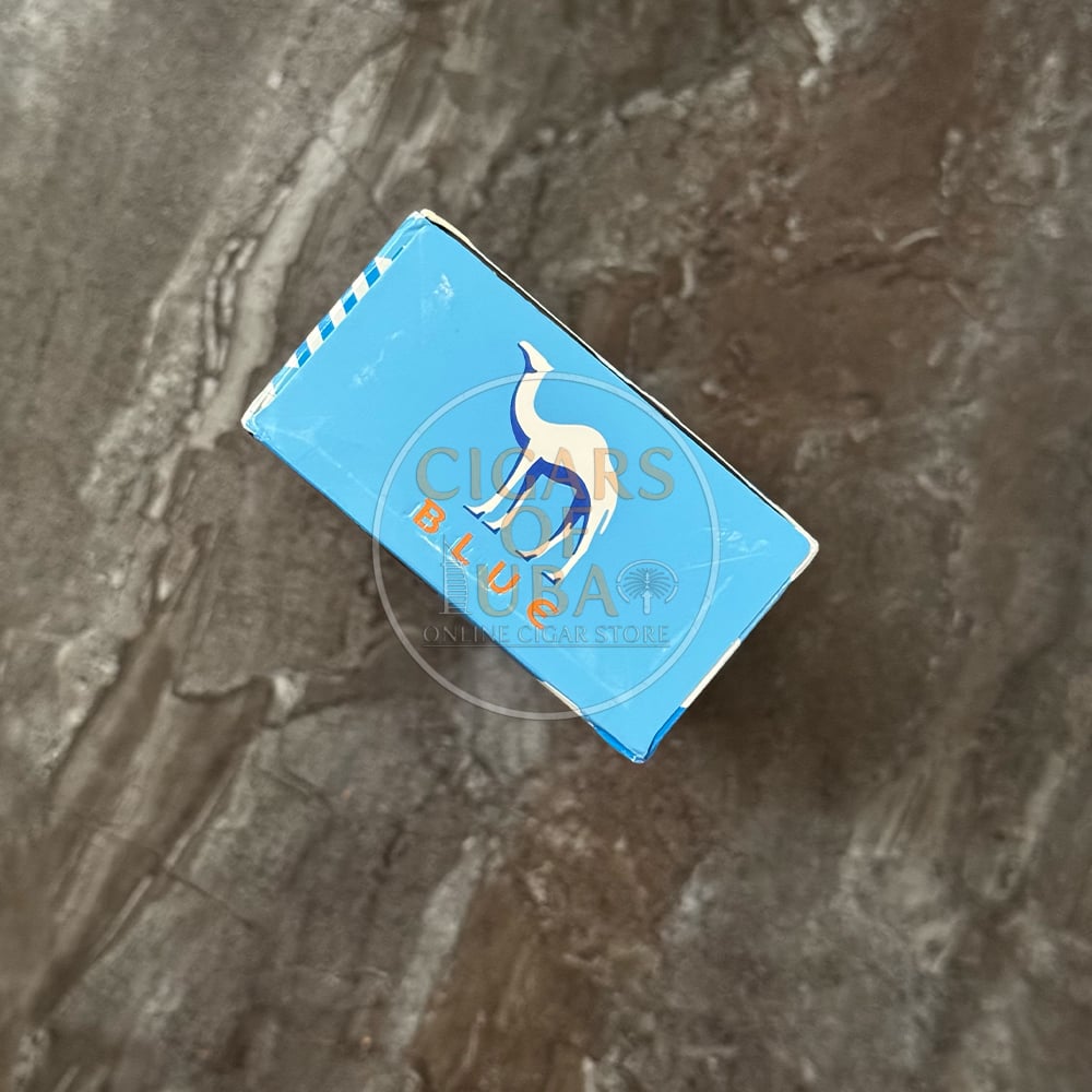 camel-blue-travel-retail-edition-idf-1 Camel Blue Travel Retail Edition