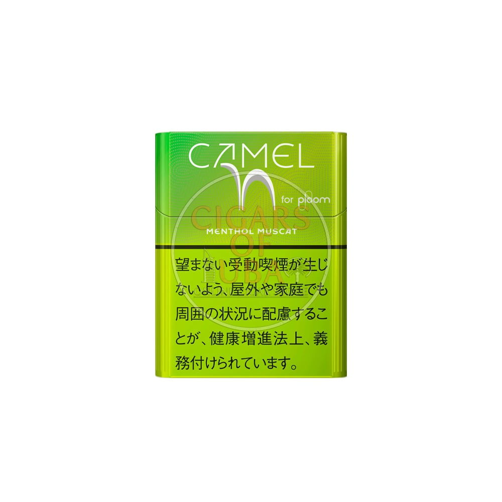 Camel Menthol Muscat 1 Camel Menthol Muscat