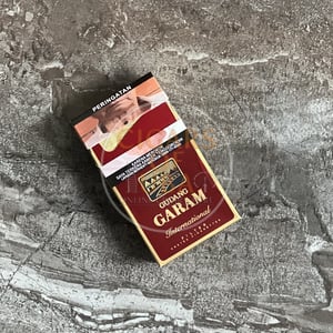 Gudang Garam International