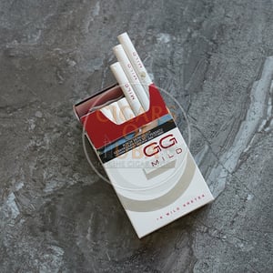 Gudang Garam Mild