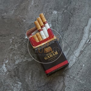 Gudang Garam Signature