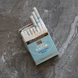 Gudang Garam Signature Mild