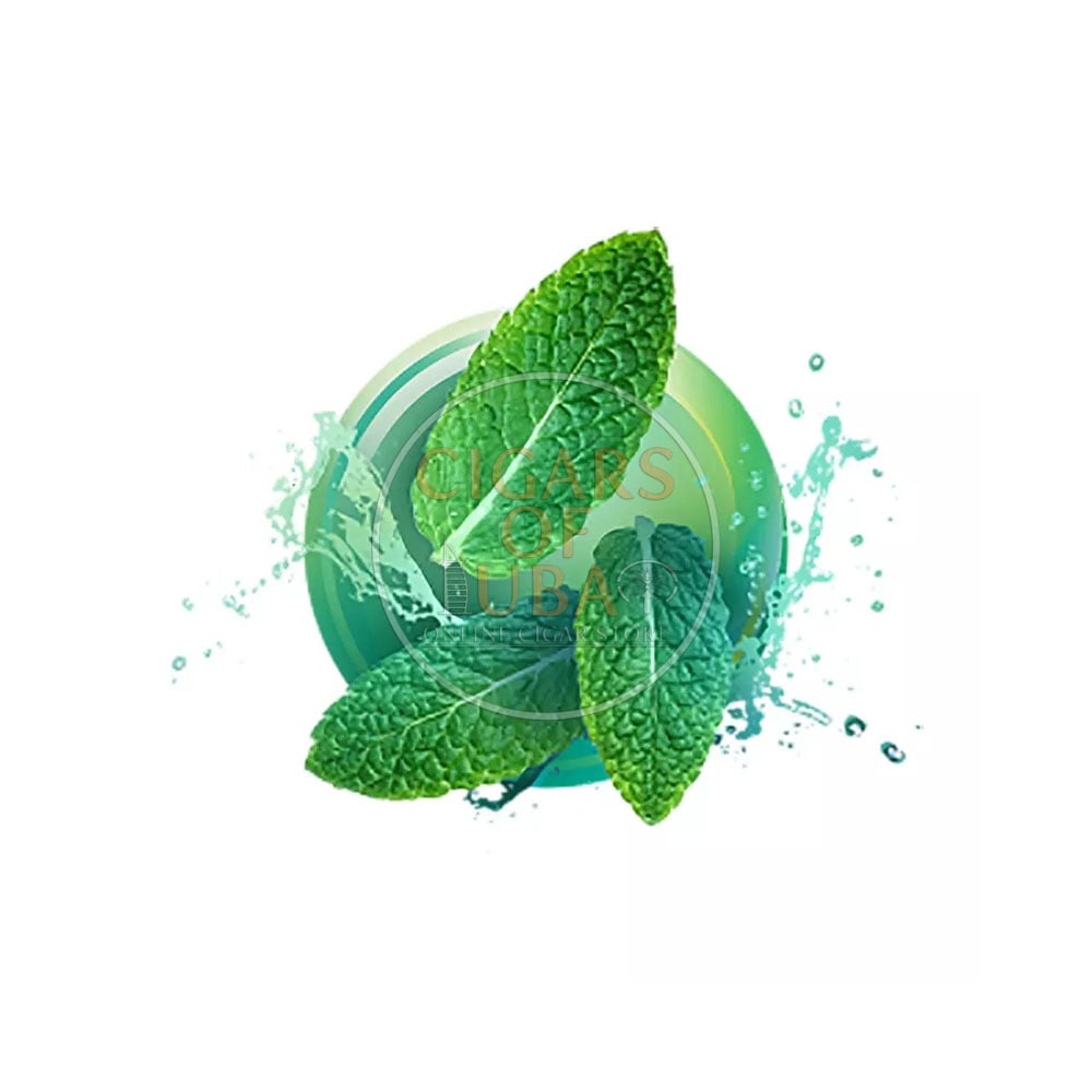 kent-true-rich-green-jp-1 Kent True Rich Green