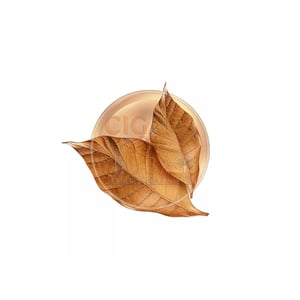 Kent True Rich Tobacco