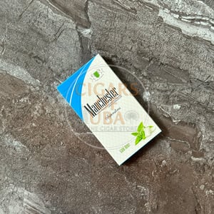 Manchester Gum Mint