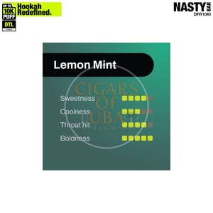 NASTY Hooqa DFR10Ki Shisha Lemon Mint 2 NASTY Hooqa DFR10Ki Shisha Lemon Mint