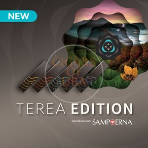 Terea Mulint Edition