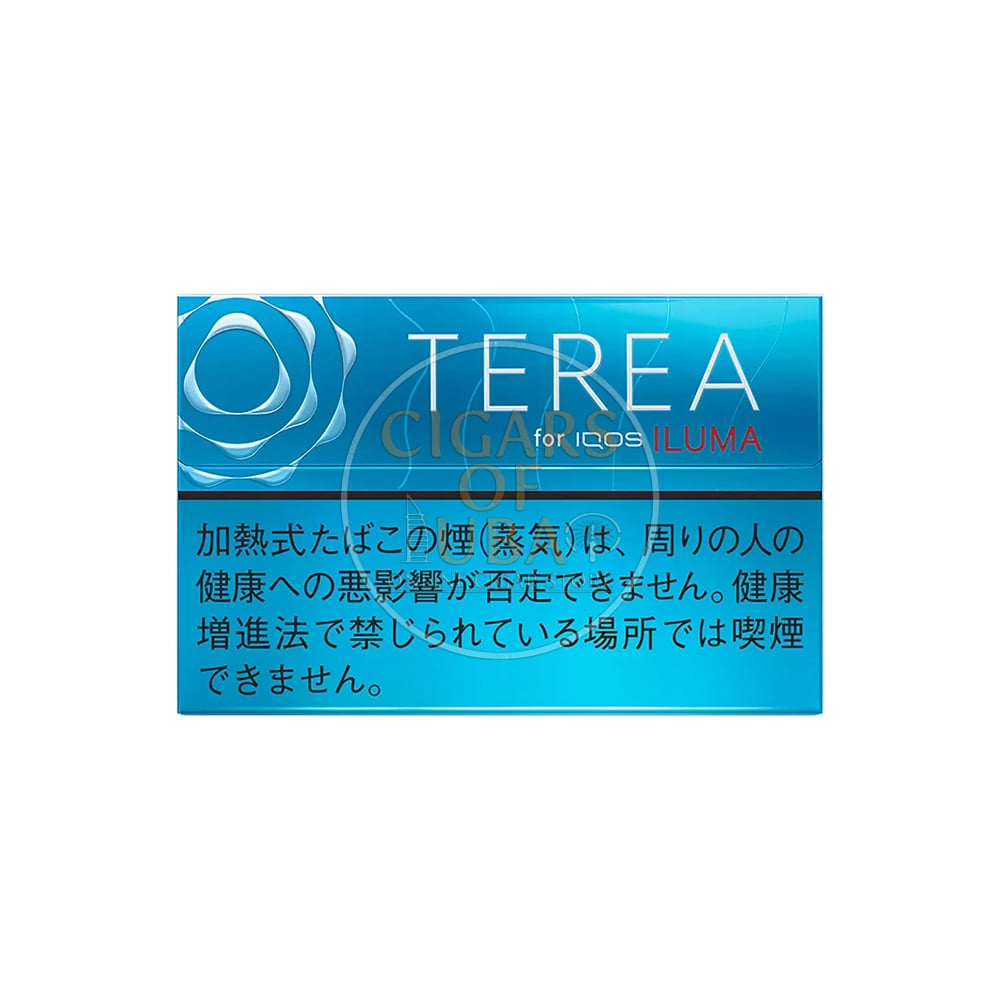 Terea Regular 1 Terea Regular