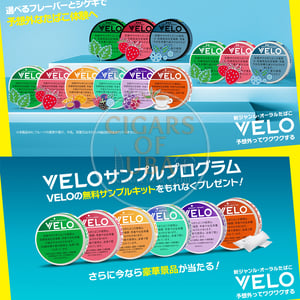 VELO Mighty Peppermint Intense