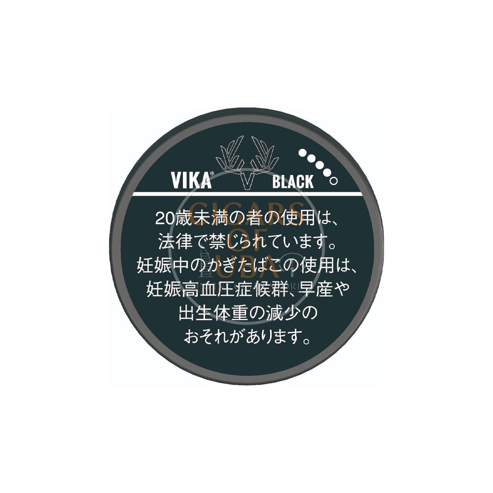Vika Black 1 Vika Black