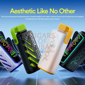 Vozol Gear Power 20000 Lychee Rybena