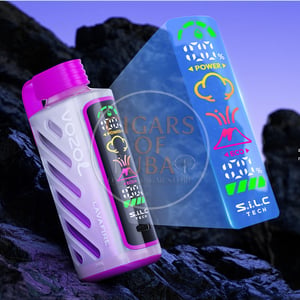 Vozol Gear Power 20000 Lychee Rybena
